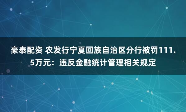 豪泰配资 农发行宁夏回族自治区分行被罚111.5万元：违反金融统计管理相关规定